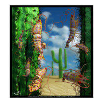 Ocean Invasion #5: Prawns of the Sonoran posters