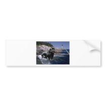 Ocean Newf Bumper Sticker