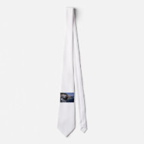 Ocean Newf Neck Ties