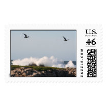 ocean postage
