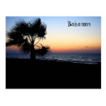 Ocean Postcard