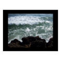Ocean print