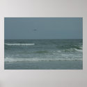 Ocean posters