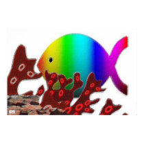 Ocean Rainbow Fish Symbol posters by Christian_Art Ocean Rainbow Fish Symbol posters