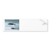 Ocean Rocks bumper stickers