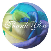 Ocean Rose | Thank You