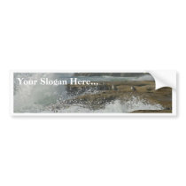 Ocean Seagulls Waves Beaches Coast bumper stickers by lifesphere Ocean Seagulls Waves Beaches Coast bumper stickers
