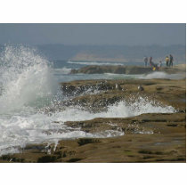 Ocean Seagulls Waves Beaches Coast photo sculptures by lifesphere Ocean Seagulls Waves Beaches Coast photo sculptures