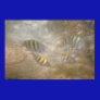 Ocean Serenity Fish Poster