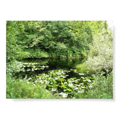 OCEAN SHORES STATE PARK  PACIFIC COAST PRINT by fomater