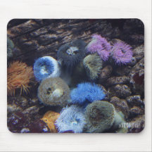 Ocean Splendor HD Mousepad - Coral Reef