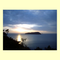 Ocean Sunrise over Shoe Island Tairua posters