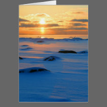 Ocean Sunset cards