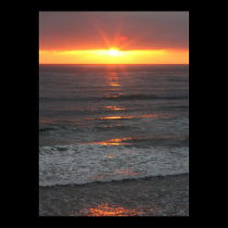 Ocean Sunset posters