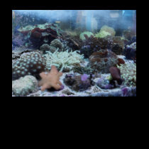 Ocean T-Shirt (beach ware)