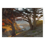 Ocean View Greeting Cards