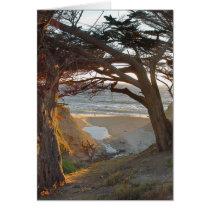Ocean View Greeting Card