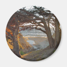Ocean View Fridge Magnet