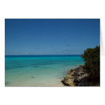 Ocean View Historic St. George Cards