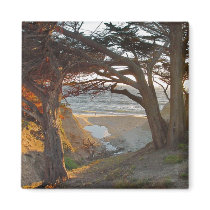 Ocean View Fridge Magnets
