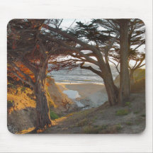 Ocean View Mouse Pads