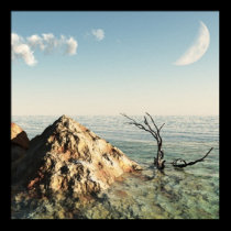Ocean View posters