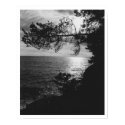 Ocean View posters by randum Ocean View posters
