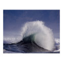 Ocean Wave posters