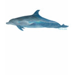 Ocean Waves in Dolphin by FishTs.com