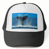 Ocean Whale  Hat