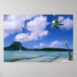 Oceania, French Polynesia, Tahiti. View of Posters