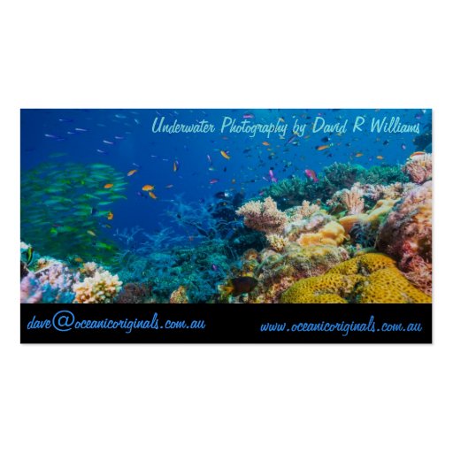 Oceanic Originals Business Card Template (front side)