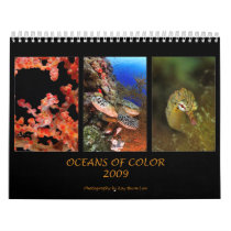 Oceans Of Color Wall Calendar