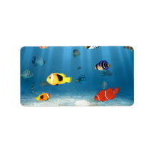 Oceans of Fish Address Label