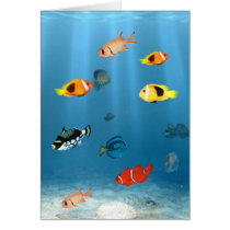 Oceans Of Fish Card
