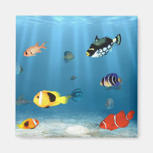 Oceans Of Fish Fridge Magnet