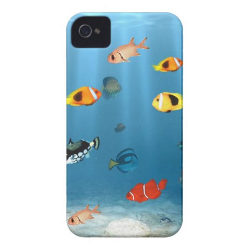 Oceans Of Fish iPhone 4 Case-Mate Cases