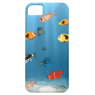 Oceans Of Fish iPhones and Gifts Fishing, Fish and Oceans