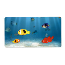 Oceans of Fish Personalized Shipping Labels