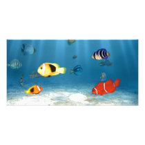 Oceans of Fish Photo Card