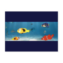 Oceans Of Fish Postcards