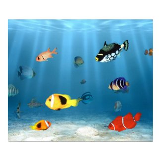 Oceans, Skies and Gardens of Flowers Celebrate Nature on Earth Oceans Of Fish print