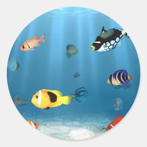 Oceans Of Fish Stickers