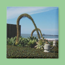 Oceanside,Ca magnets