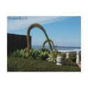Oceanside,Ca, Oceanside,CA postcards by minx267 Oceanside,Ca, Oceanside,CA postcards