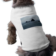 Oceanside Pet T-shirt