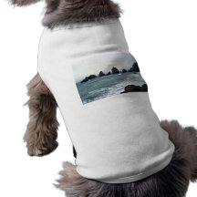 Oceanside Pet Tshirt