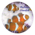 Ocellaris Clownfish Collectable Stickers by Rb_barnes2 Ocellaris Clownfish Collectable Stickers