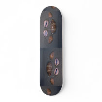 Ocellate and thick-edged cowries Shell Skateboard