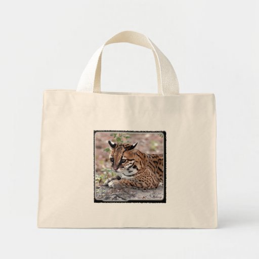 Ocelot 01 11x11 bolsa